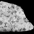 a black and white image of marks on a rock