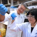 UQ reseachers examining light conversion technology in a lab. 