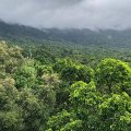 a view of forested hills with clouds above the top of the slope