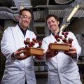 Dr Luigi Vandi and Vincent Mathel have successfully tested their biocomposite as a strawberry punnet that biodegrades completely in soil, fresh water, the ocean, and in compost. Photos Aubrey Jonasson