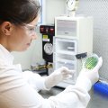 Researcher looks at a petrie dish in a lab.