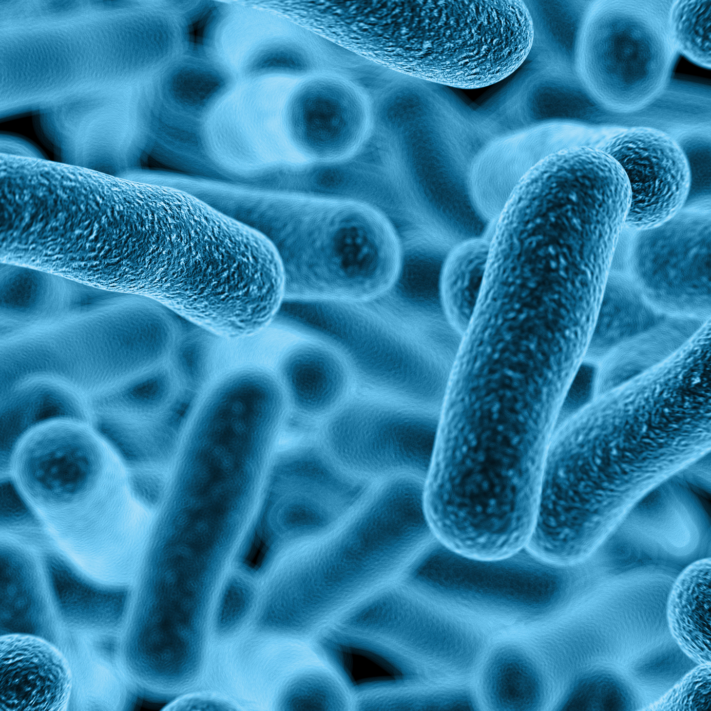 e coli bacterium kezelése házilag 2019
