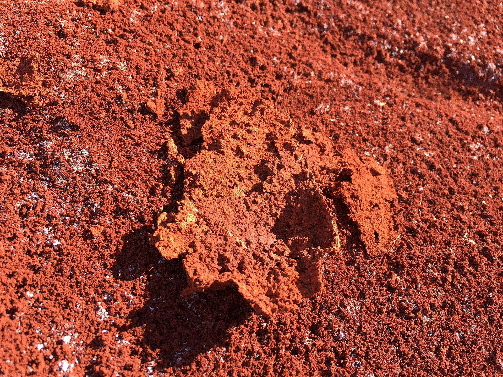 A close-up of seawater neutralized red mud with salt flakes on surface.