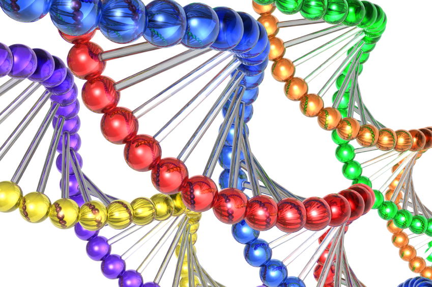 UQ to host major international nanobio conference UQ News The