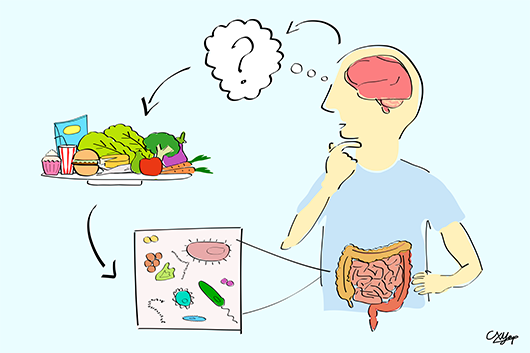 Flipping the gut microbiome–autism link on its head - UQ News - The  University of Queensland, Australia