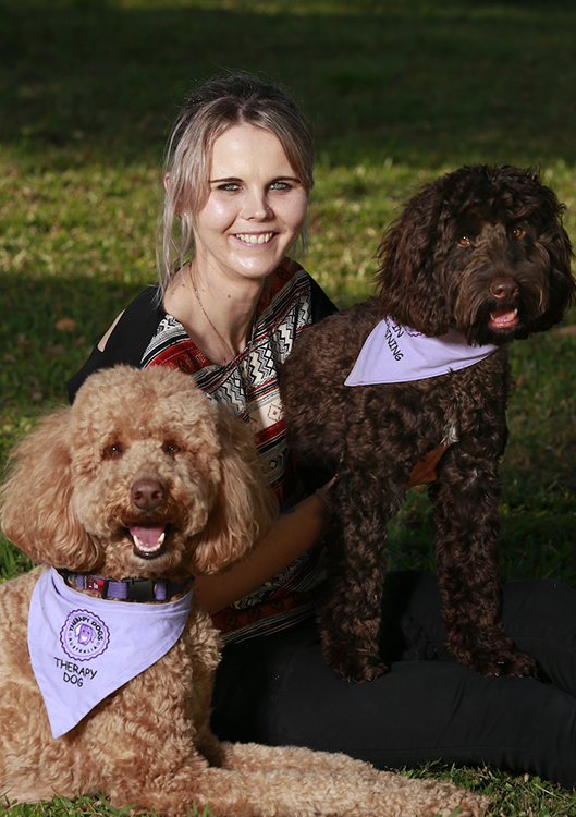 Elsa the dog teaches news tricks to occupational therapy students – UQ News