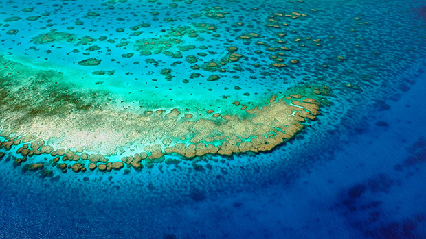 그레이트 배리어 리프(Great Barrier Reef) 수질 모니터링으로 재정적인 지원을 받다 – UQ News