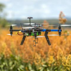 A drone above a crop.