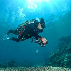 Mapping a better future for coral reefs