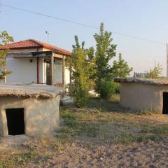 Reconstructed houses in their final form, with a visitor's centre in the background.