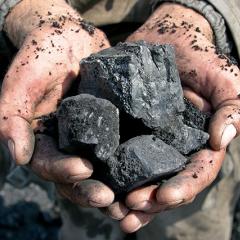 A pair of hands holding coal