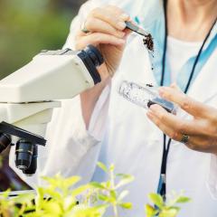 Scientist testing soil