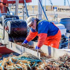 Fisherman preparing a fishing net