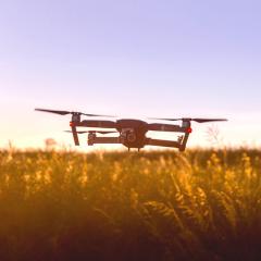 A drone hovering over a field of crops