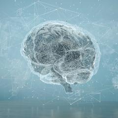 An AI brain