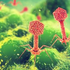 Microscopic gut virus