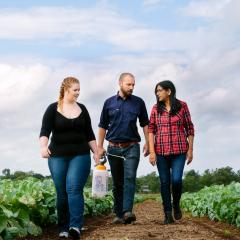 Professor Neena Mitter and colleagues performing agricultural research in the field