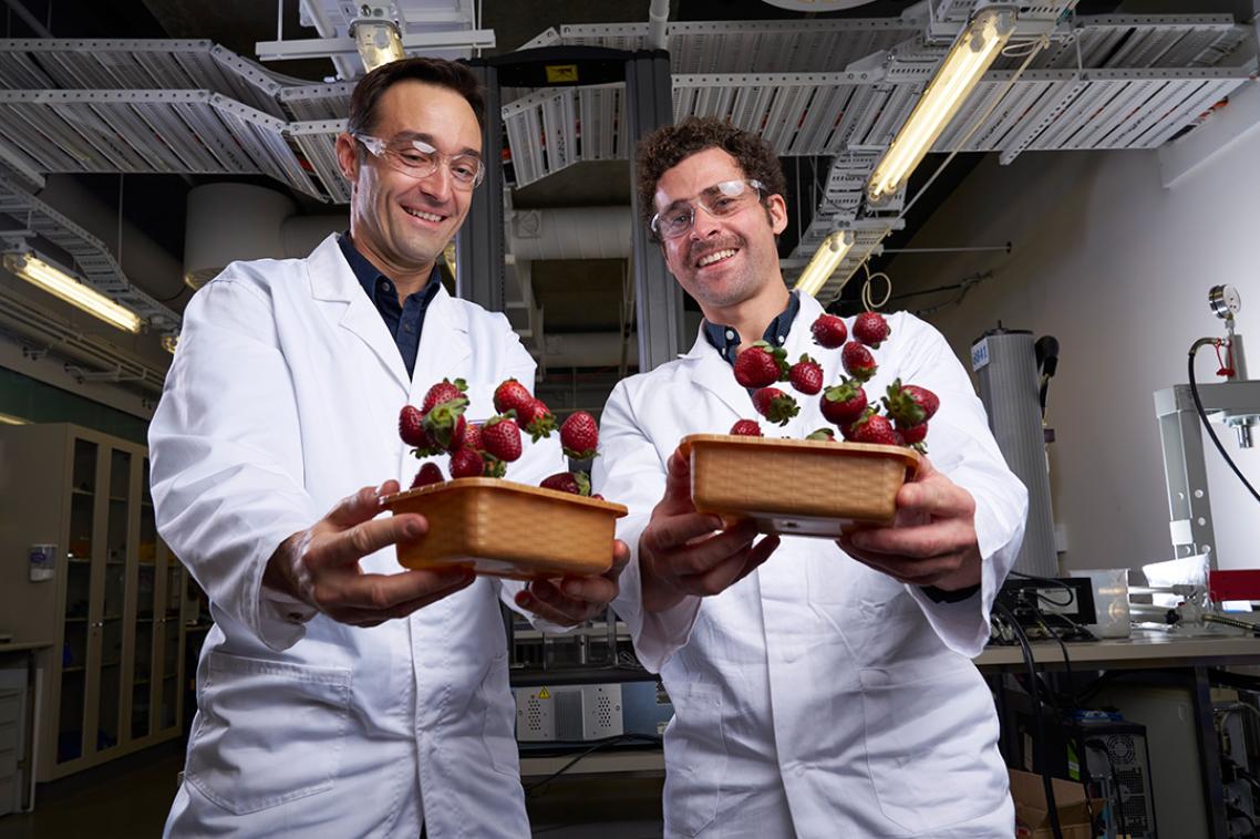Two scientists in coats throwing a punnet of strawberries in the air