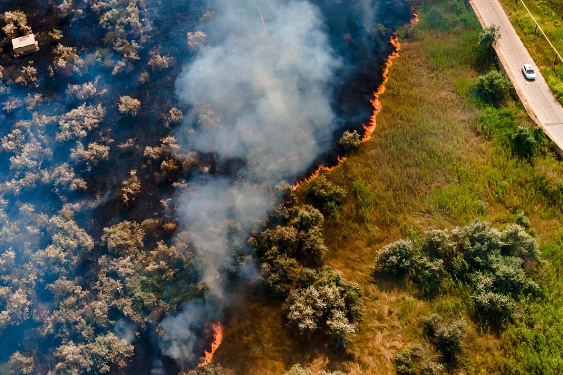 Fire burning amongst a forest, car driving on a highway along the side