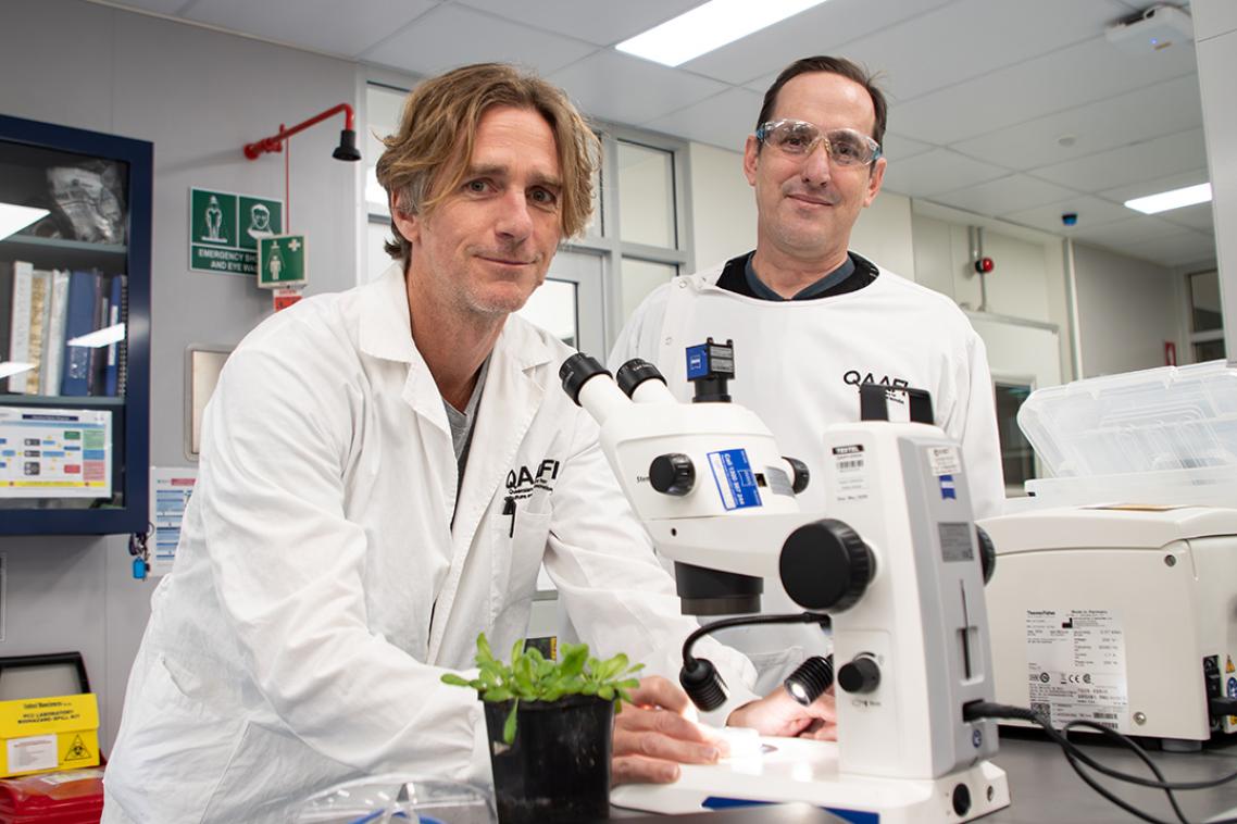 Two men in lab coats leaning towards a microscope